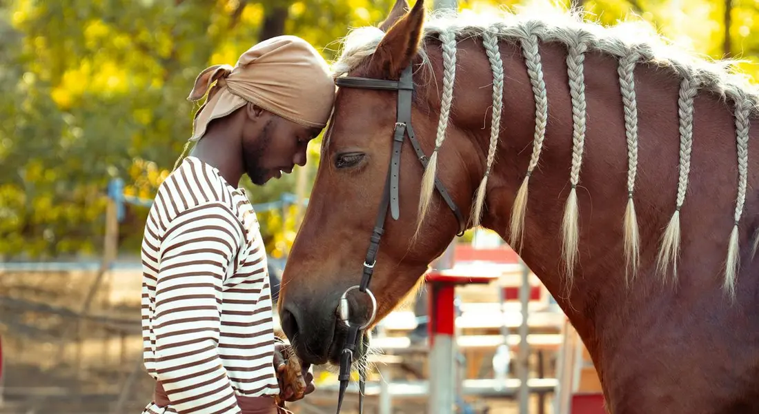 A handler wearing a striped shirt and a light headscarf stands beside a braided-maned horse in a sunlit outdoor area, inspecting the horse's gear.
