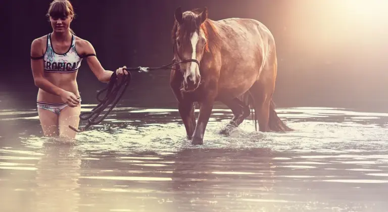 A person leads a horse through shallow water, preparing to bathe the horse.