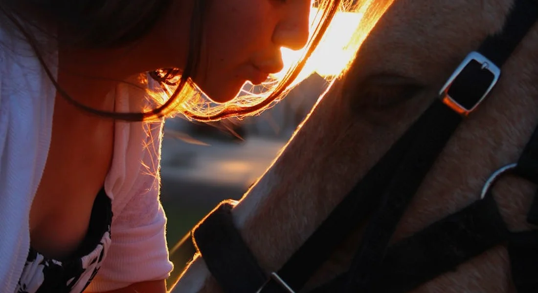Close-up of a person leaning toward a horse's head during a bite-prevention discussion.