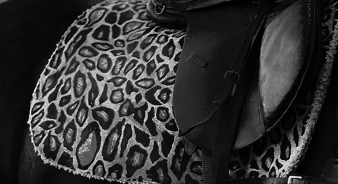 Leopard-pattern horse blanket folded neatly, with saddle gear partially visible.