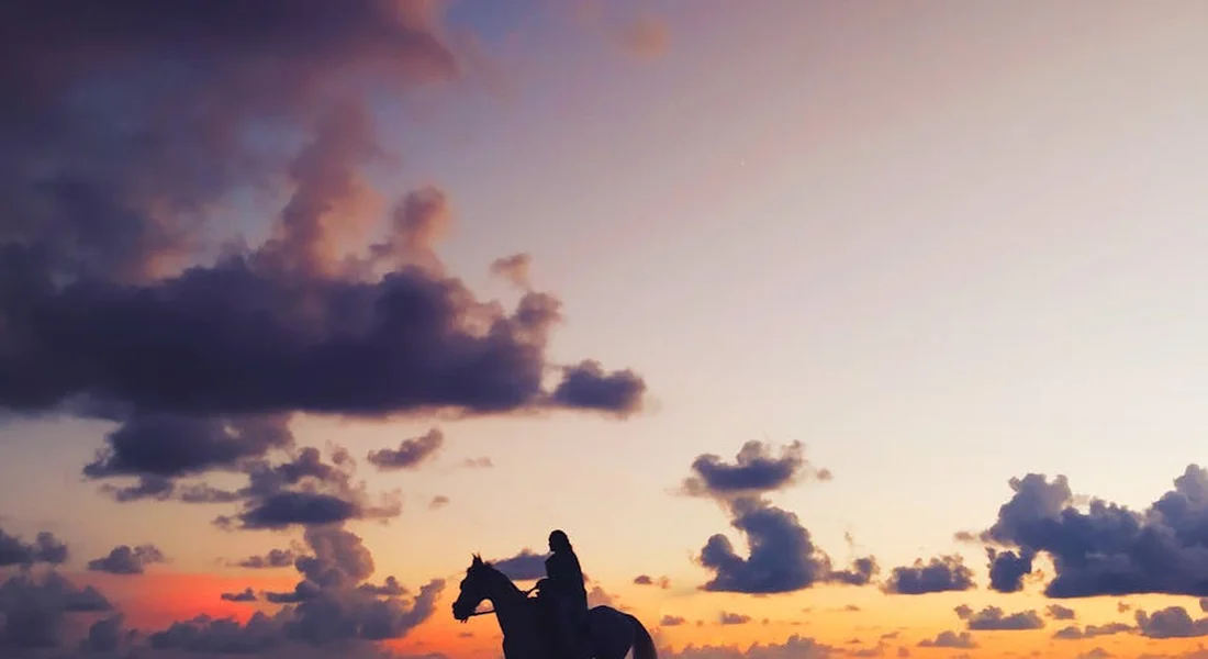 Silhouette of a rider on a horse against a vibrant sunset with clouds, illustrating calm, nonverbal connection.