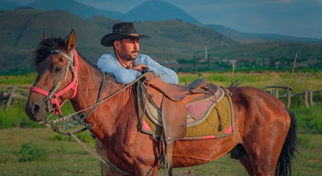 A rider wearing a hat sits atop a brown horse with a pink bridle in a green field, with mountains on the horizon.