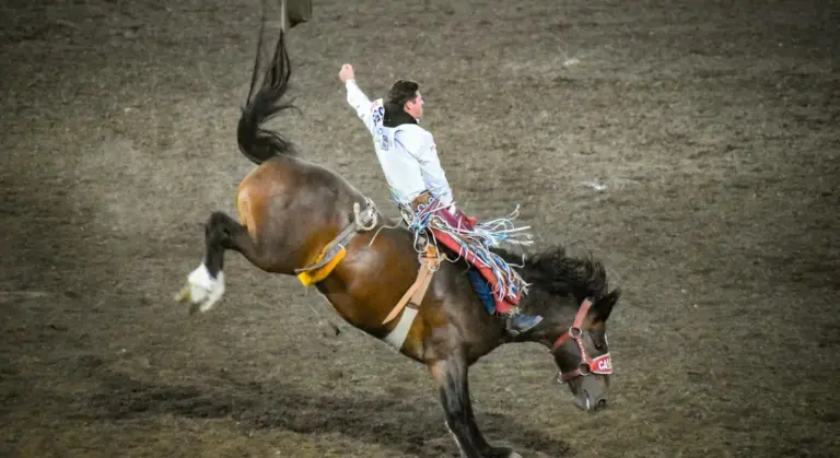 A rider on a bucking horse in an arena, horse rearing with front legs off the ground while the rider clings to the saddle.