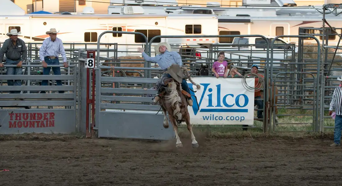 Rider on a bucking horse in a dusty rodeo arena, with metal gates and spectators in the background