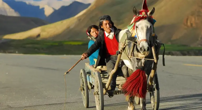 A man and a child ride in a small horse-drawn cart on a rural road, with a horse pulling the cart against a mountainous backdrop.