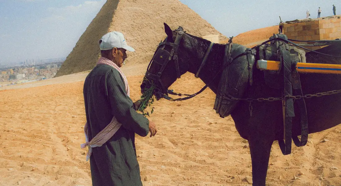 A man in traditional desert clothing offers feed to a dark horse tied to a wagon in a sandy, sunlit landscape.