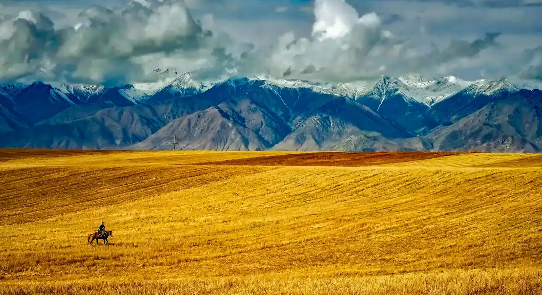 A lone horse and rider cross a vast golden field with a dramatic mountain range and cloudy sky in the background.