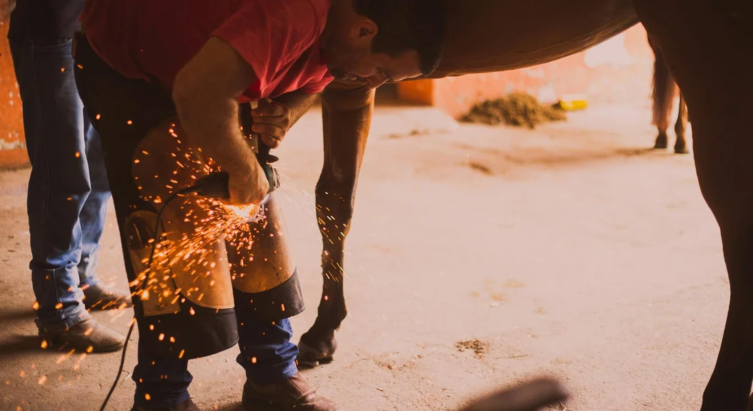A farrier working on a horse's hoof with a grinder, sparks flying from the metal as onlookers stand nearby.