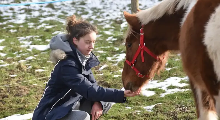 Person kneeling to feed a horse outdoors on a chilly day with patches of snow, horse wearing a red halter.