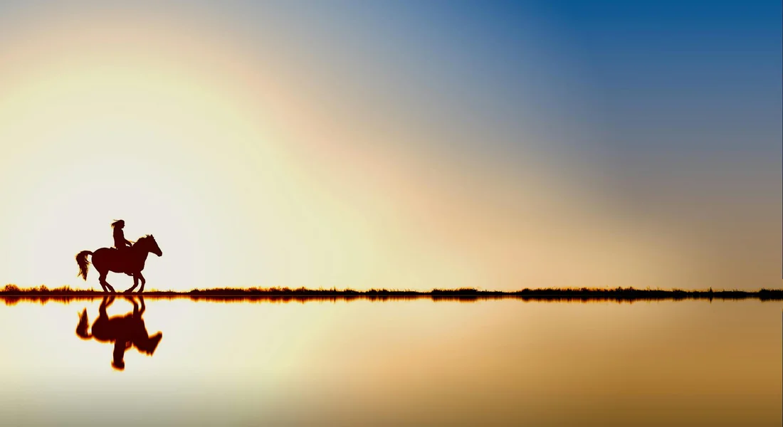 Silhouette of a horse standing on a flat horizon, its reflection shimmering in calm water at sunset.
