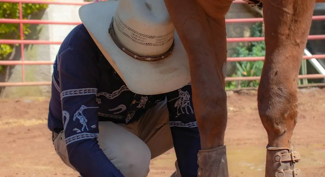 A person wearing a hat crouches beside a horse’s leg in a dusty arena, inspecting the fetlock area.