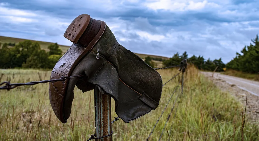 A horse fly boot resting on a weathered wooden fence post in a grassy, open field.