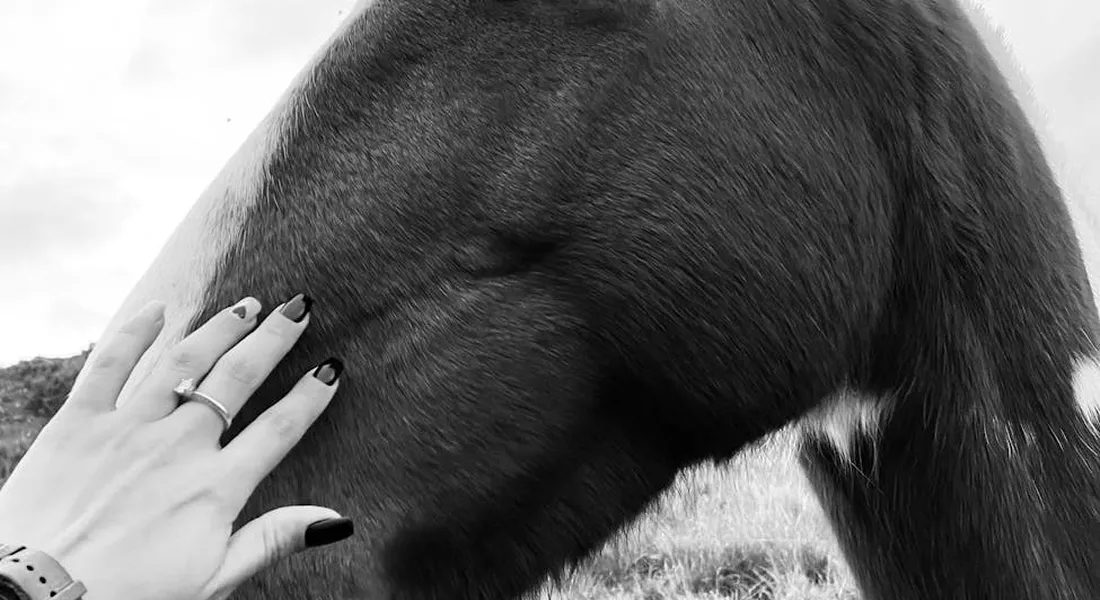 Close-up of a person’s hand with dark nails resting on a horse’s side during grooming.