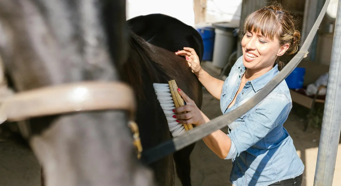 A person brushing a horse in a stable, illustrating grooming as part of creating a personalized grooming kit.