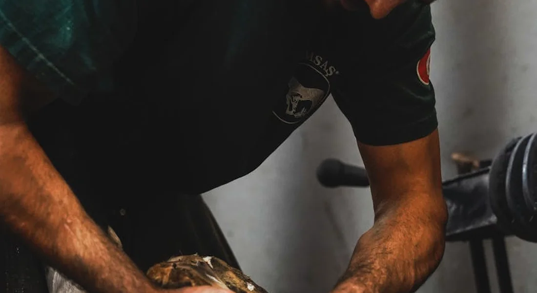 Close-up of a professional inspecting a horse's hoof, emphasizing the area where internal structures such as bones and cushions reside.
