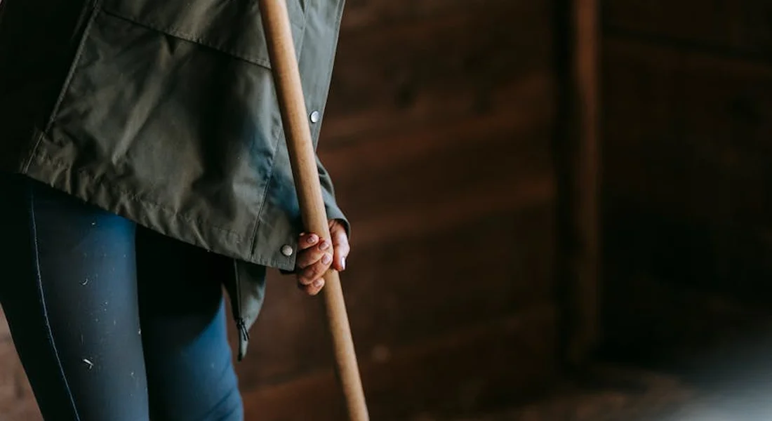 Person in a barn holds a long wooden handling tool, with dark wooden walls in the background.