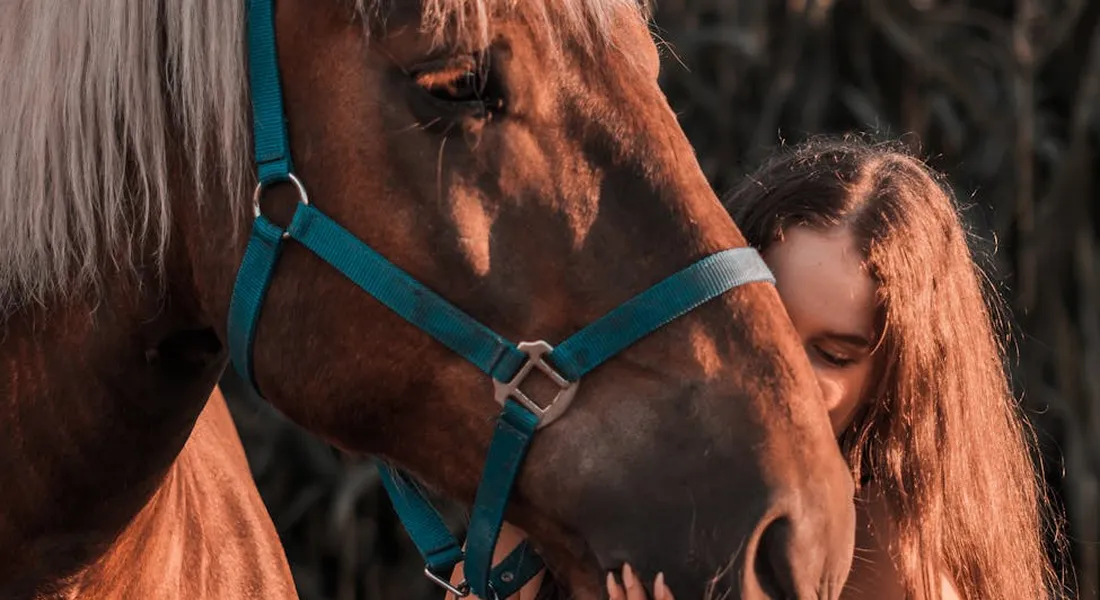 Close-up of a horse wearing a teal halter beside a person with long hair, sharing a quiet, intimate moment.