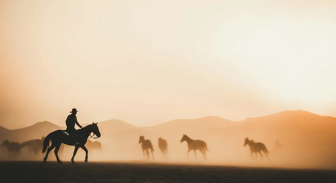 Silhouette of a rider on a horse leading a small group of horses across a dusty plain at sunset.