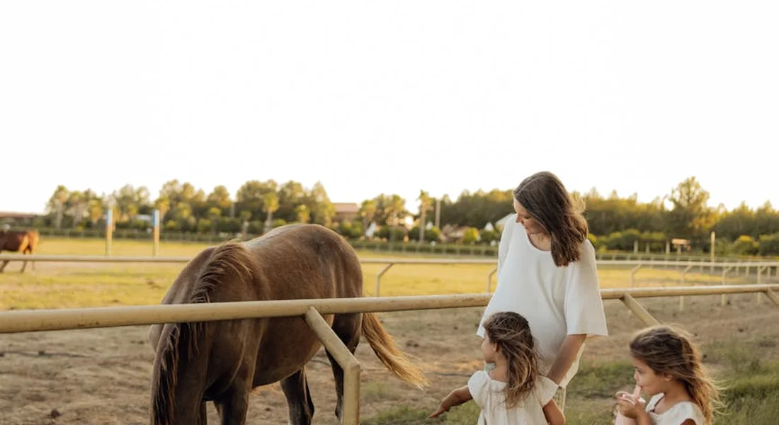 Horse in a paddock beside a wooden fence with a woman and two children nearby.