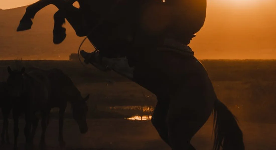 Silhouette of a rider on a horse at sunset with another horse in the distance