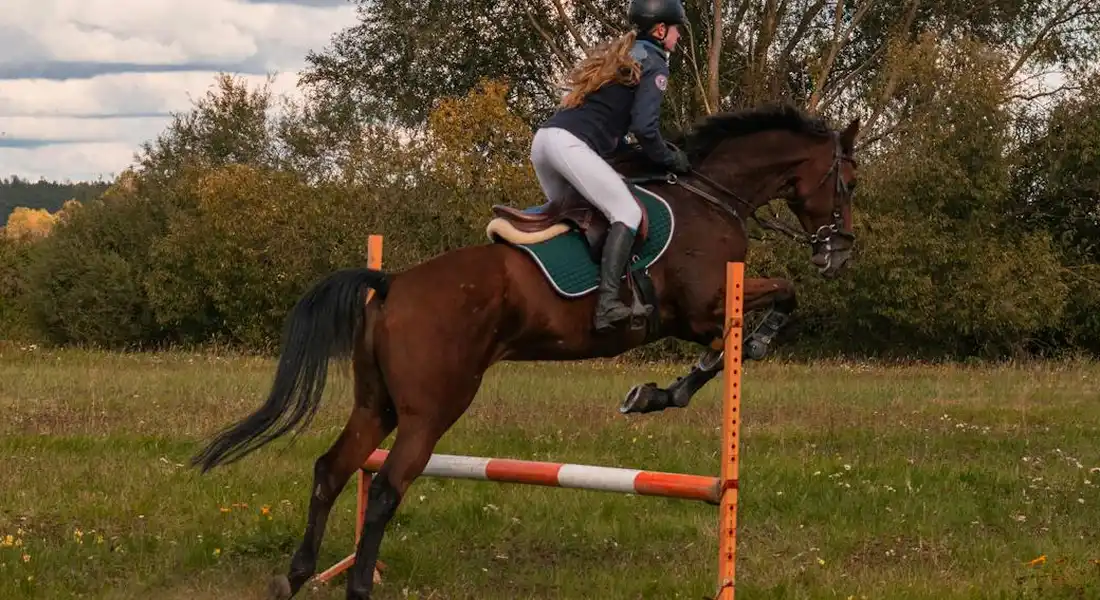 Rider in helmet on a brown horse jumping over an orange-and-white hurdle in a field.