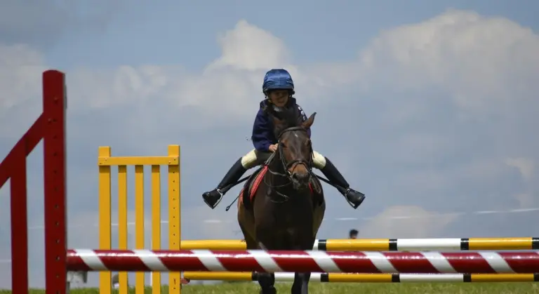 Horse and rider jumping over a striped hurdle in a show jumping course