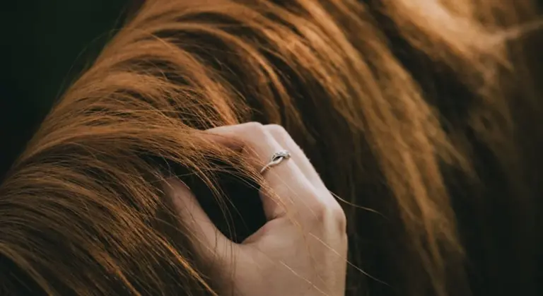 Close-up of a hand touching a horse's mane, illustrating gentle care during recovery