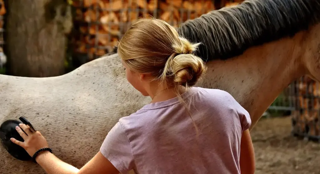 How to Budget for Unexpected Veterinary Emergencies