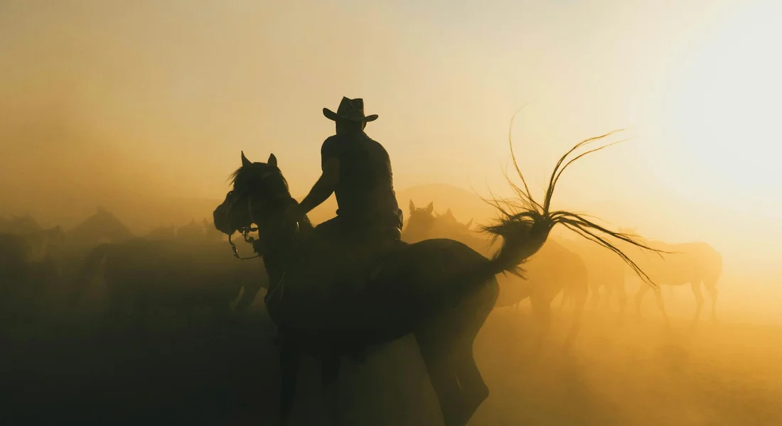 Silhouette of a rider on a horse at sunrise, with a dusty, hazy landscape in the background
