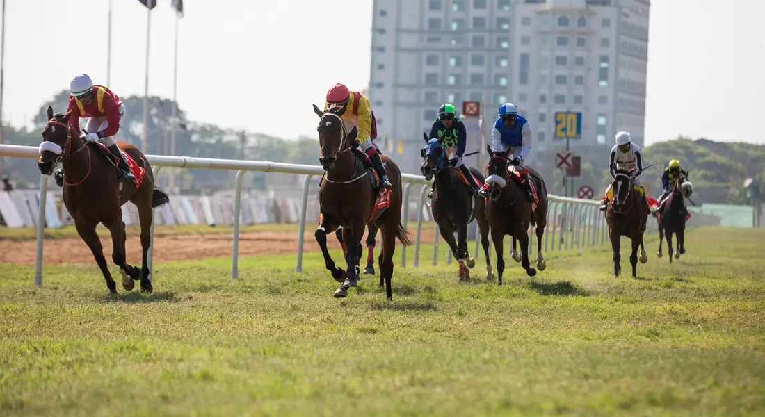 Several racehorses with jockeys sprint along a grassy track, with urban buildings visible in the background.