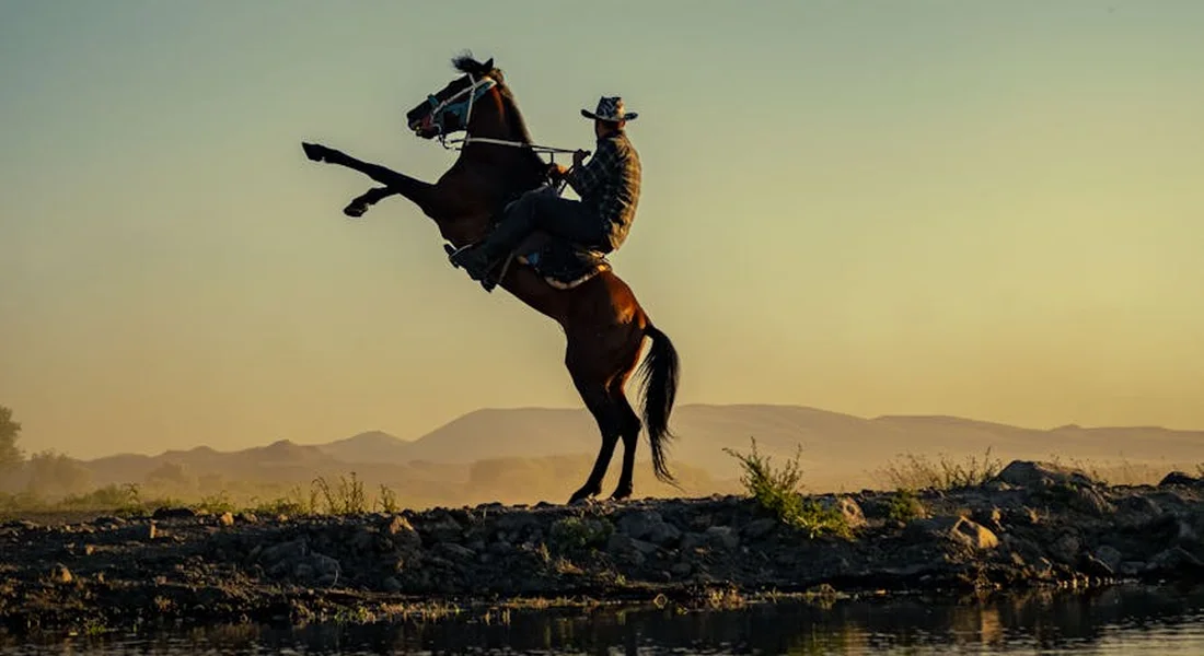Silhouetted horse with a rider rearing on a rocky shoreline beside a calm body of water at sunset.