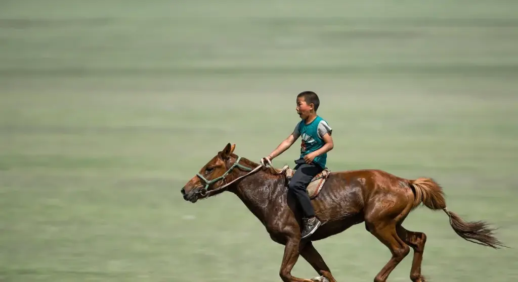Do Horses Recognize and Love Their Owners? Building Trust in Your Equine Bond