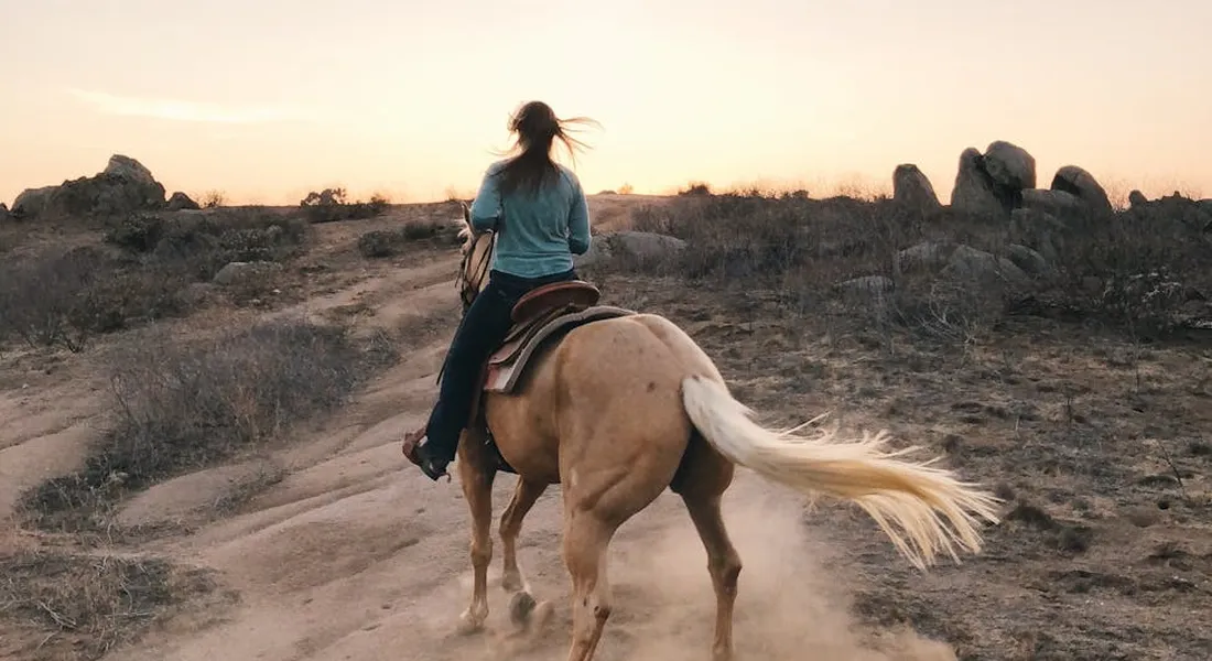 A rider on a light brown horse rides across a dusty desert landscape at sunset.