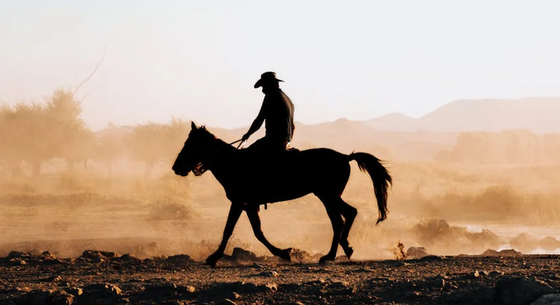 Silhouette of a person riding a horse across a dusty, sunlit landscape at sunset.