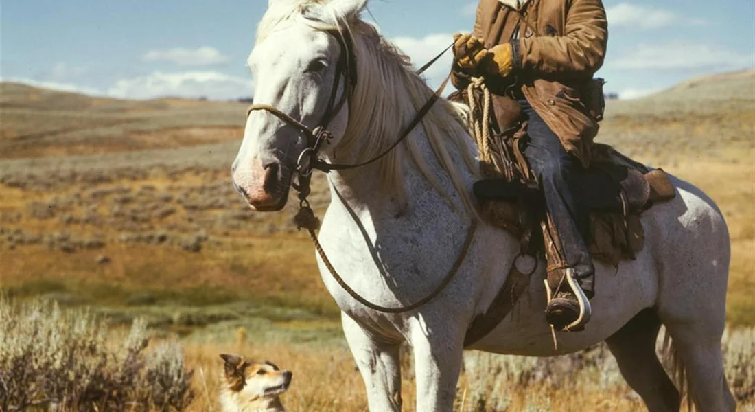 A rider on a white horse traverses a dry open plain, with a small dog watching from the foreground.
