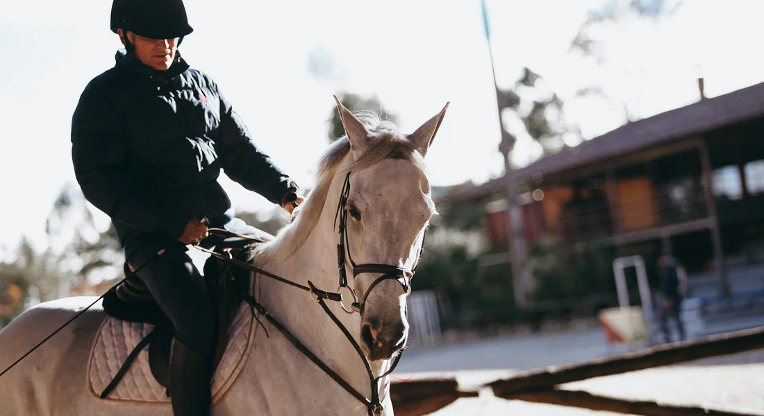 Rider wearing a helmet on a light-colored horse in an outdoor arena.