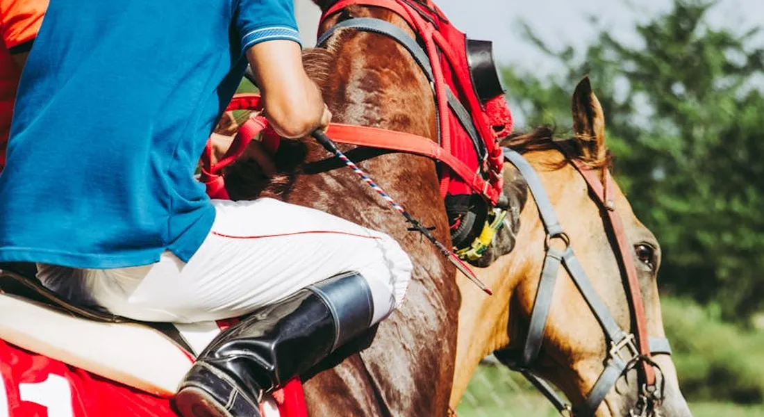 Rider in a blue shirt and white pants on a horse with red tack, outdoors