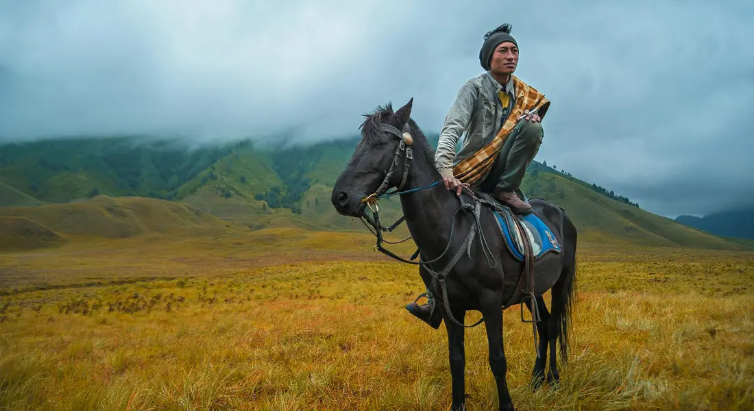 A rider on a dark horse stands in an open grassland under a cloudy sky, holding the reins and gear.
