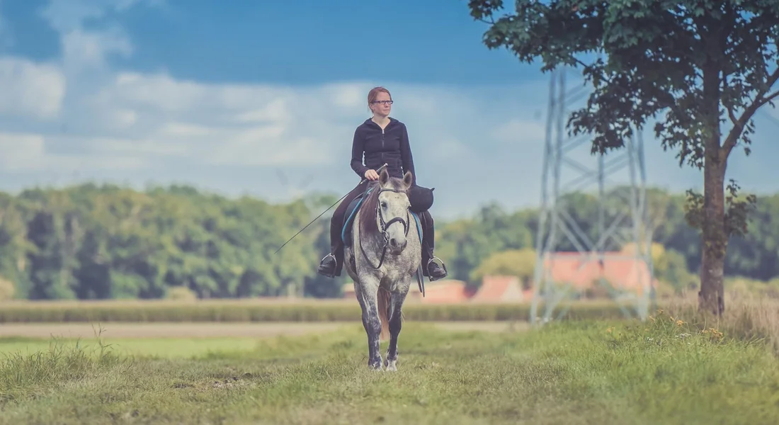 A rider on a horse walking across an open field under a blue sky, illustrating calm, controlled handling and safety.