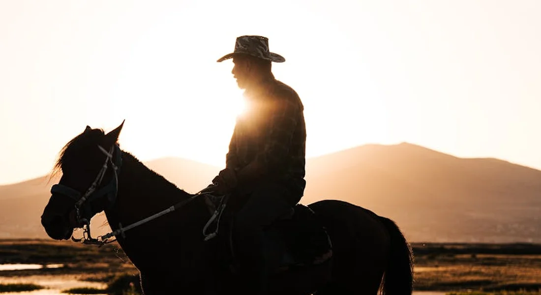 Silhouette of a horse and rider on a trail at sunset, illustrating the importance of accessible water sources for horses.