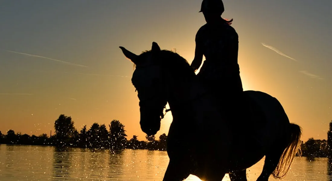 Silhouette of a rider on a horse at sunset by a calm lake, embodying trust and precise communication in horsemanship.