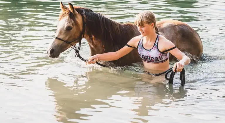A rider guides a horse through shallow water, with both partially submerged and reflections on the water surface.