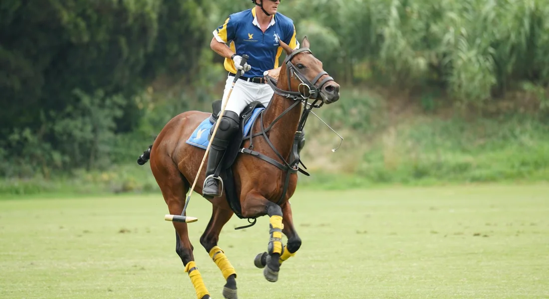 A rider in a blue shirt on a bay horse with yellow leg wraps rides across a grassy field.