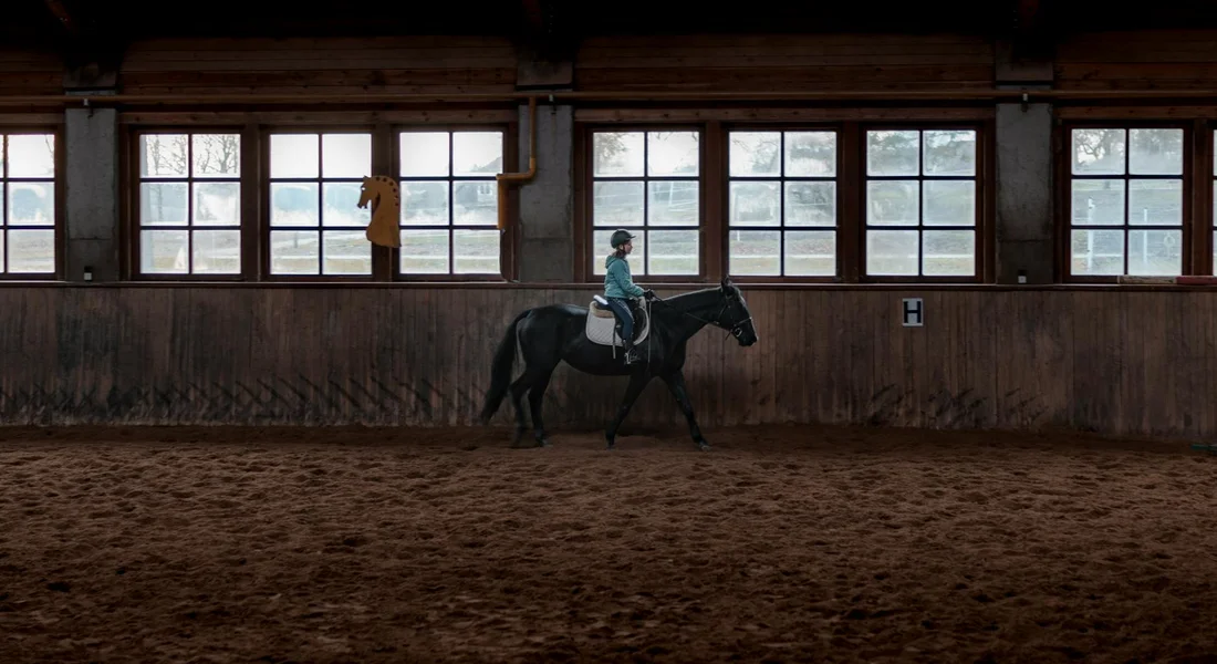 A rider on a dark horse trotting inside an indoor riding arena with wooden walls and large windows.