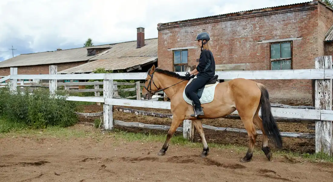 Rider wearing helmet on a horse in an outdoor arena with a wooden fence and brick building in the background.