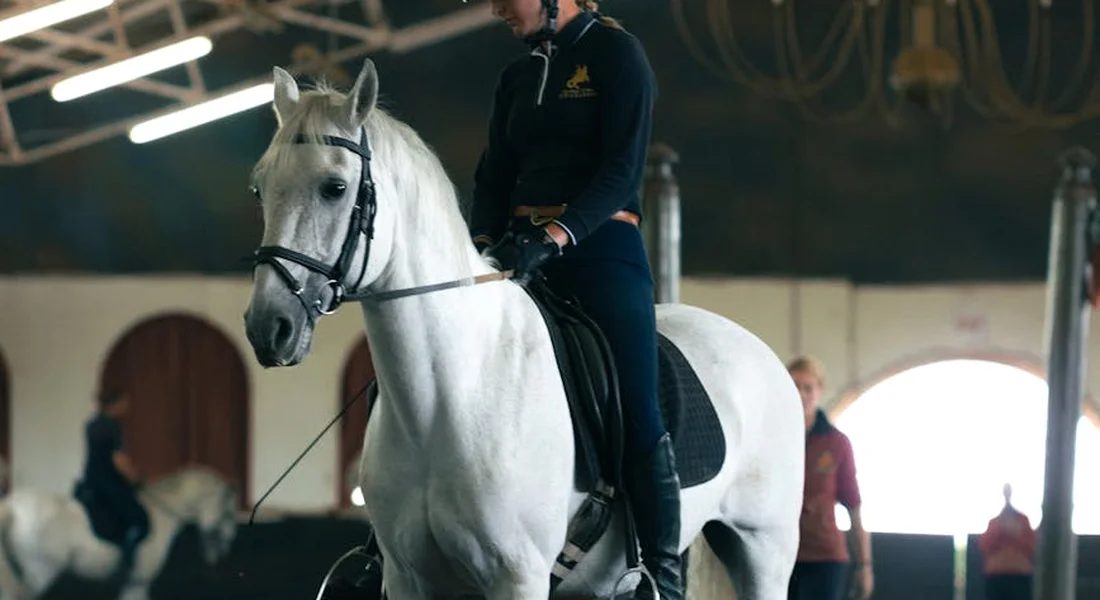 Rider on a white horse in an indoor arena, illustrating foundational groundwork before riding.