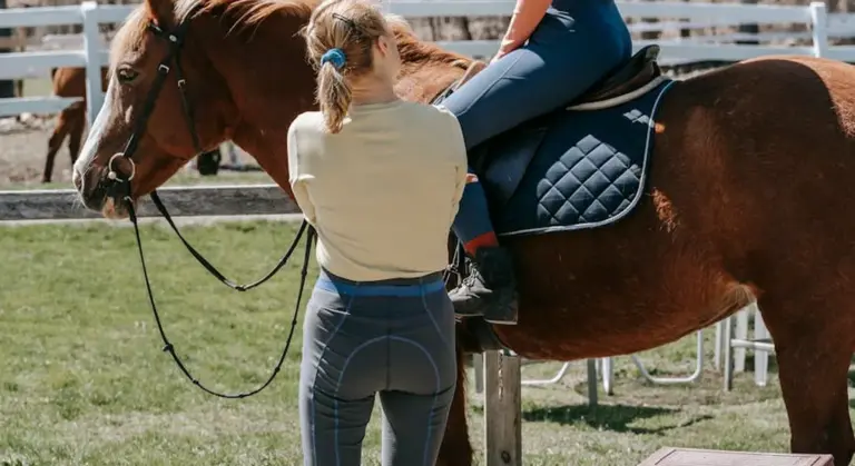 A riding instructor stands beside a horse while a rider sits on the horse in an outdoor arena as guidance is provided.