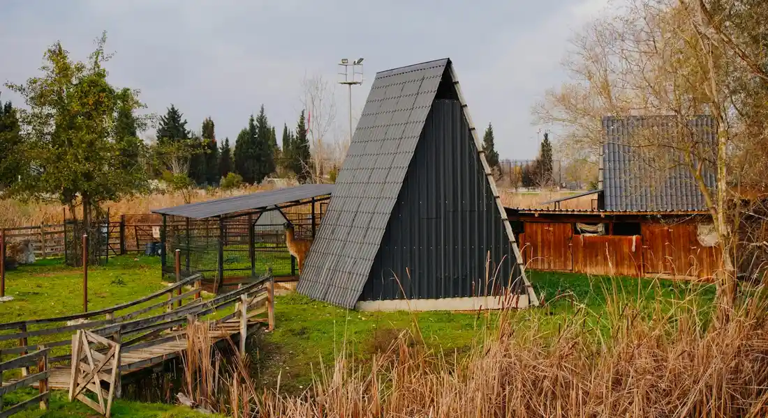 A rural horse run-in shed with a tall triangular roof, open bays, and surrounding wooden fencing in a grassy paddock.
