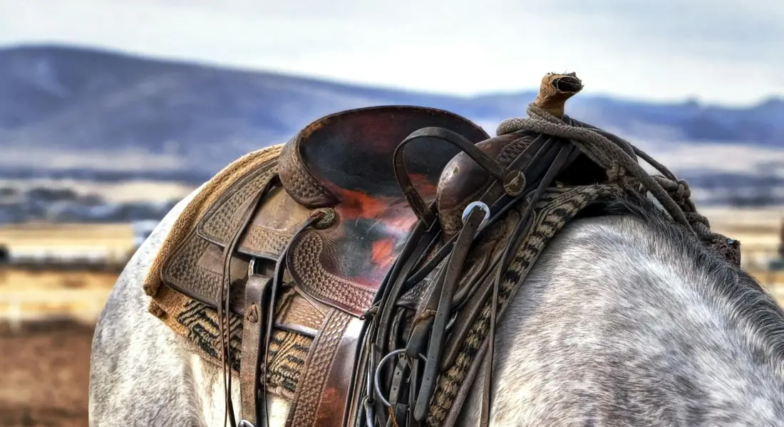 Close-up of a saddle on a gray horse with a scenic ranch backdrop, illustrating a boarding facility environment