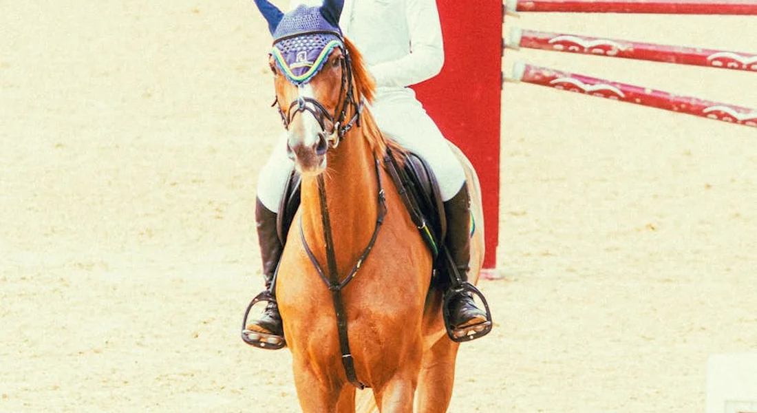 Horse and rider in an arena approaching a red showjump; sandy ground and a jump in the background.
